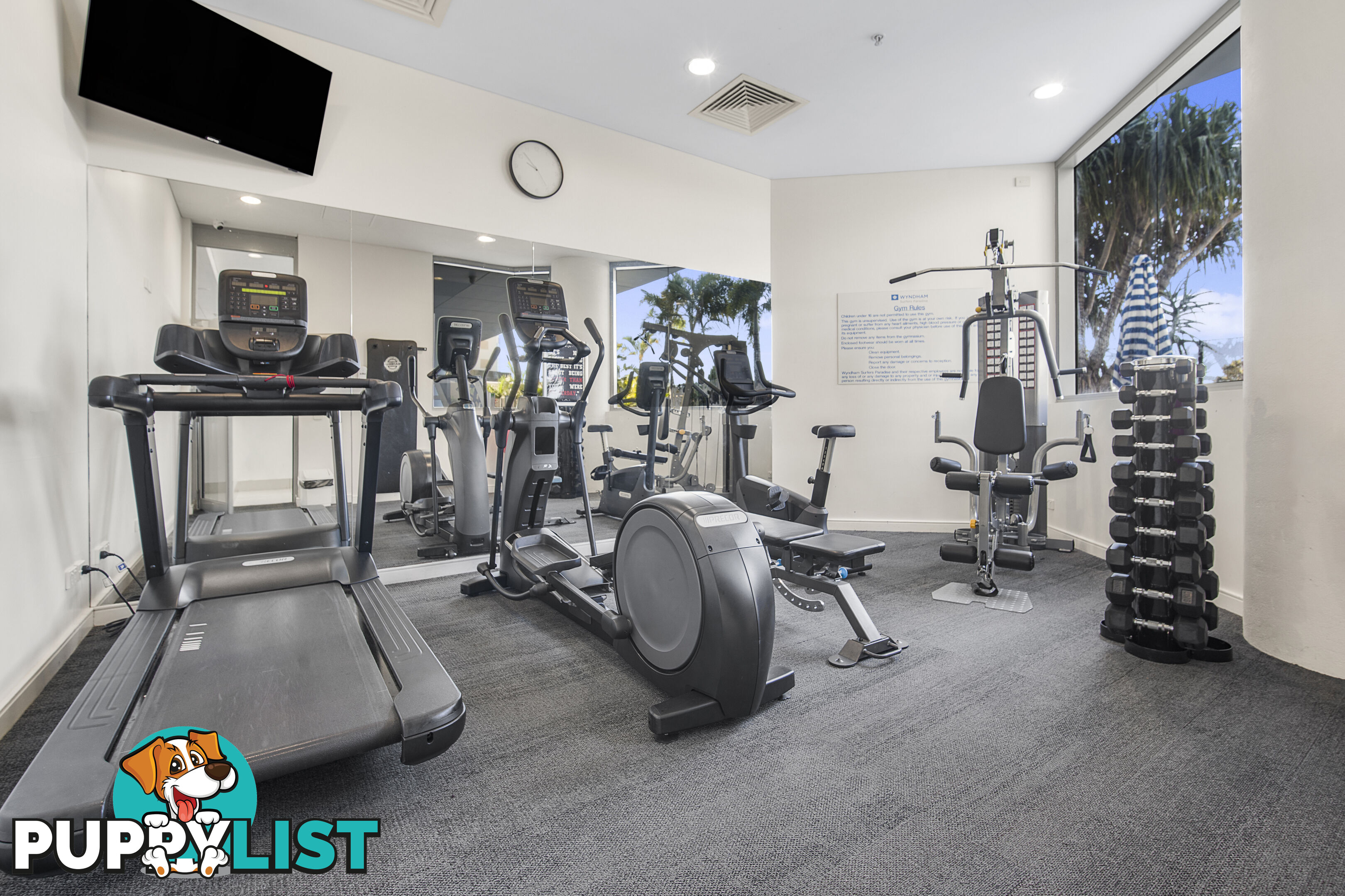 1407 3018 Surfers Paradise Boulevard Surfers Paradise QLD 4217