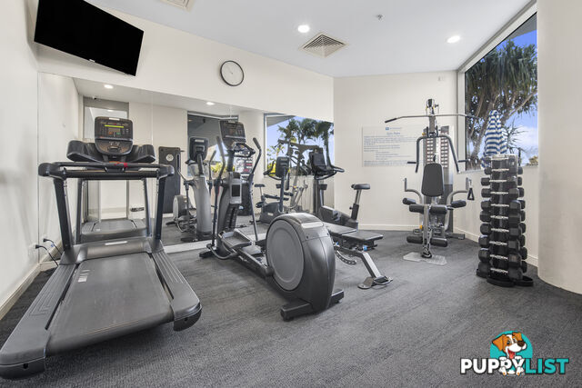 1407 3018 Surfers Paradise Boulevard Surfers Paradise QLD 4217