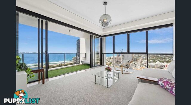 2904 22 Surf Parade Broadbeach QLD 4218
