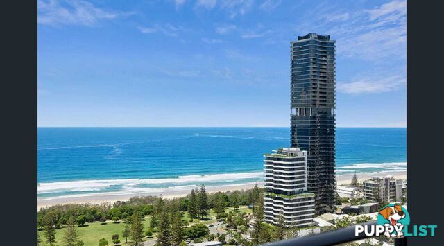 2904 22 Surf Parade Broadbeach QLD 4218