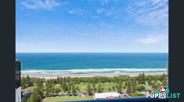 2904 22 Surf Parade Broadbeach QLD 4218