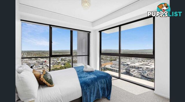 2904 22 Surf Parade Broadbeach QLD 4218