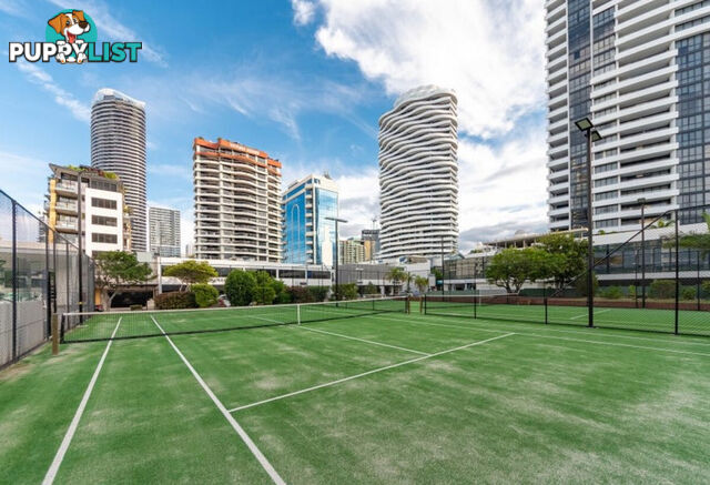 5E 1 Albert Avenue Broadbeach QLD 4218