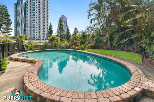 1 192 Ferny Avenue Surfers Paradise QLD 4217