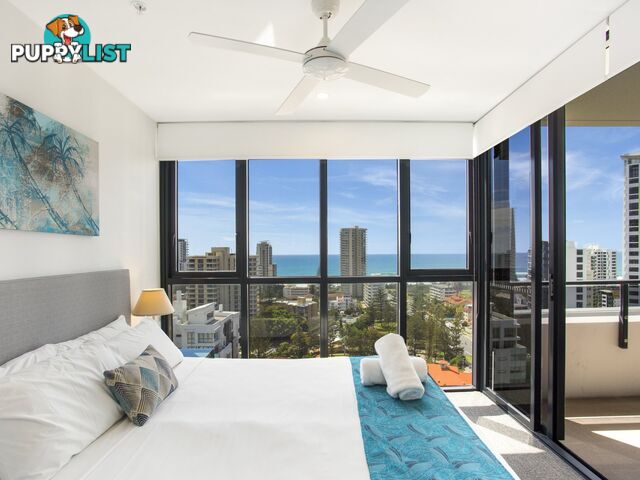 91/2729-2733 Gold Coast Highway BROADBEACH QLD 4218