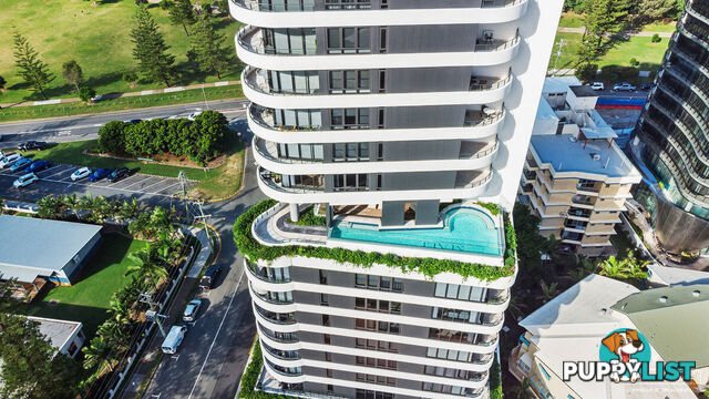 201 4-6 Alexandra Avenue BROADBEACH QLD 4218