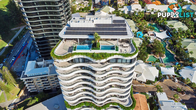 201 4-6 Alexandra Avenue BROADBEACH QLD 4218