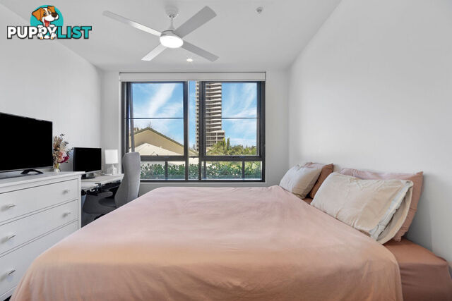 201 4-6 Alexandra Avenue BROADBEACH QLD 4218