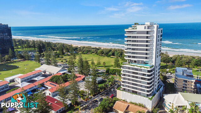 201 4-6 Alexandra Avenue BROADBEACH QLD 4218