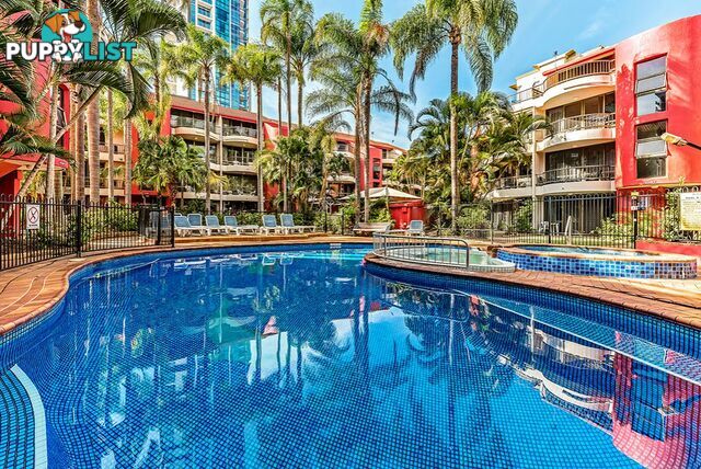 29/38 Enderley Avenue SURFERS PARADISE QLD 4217