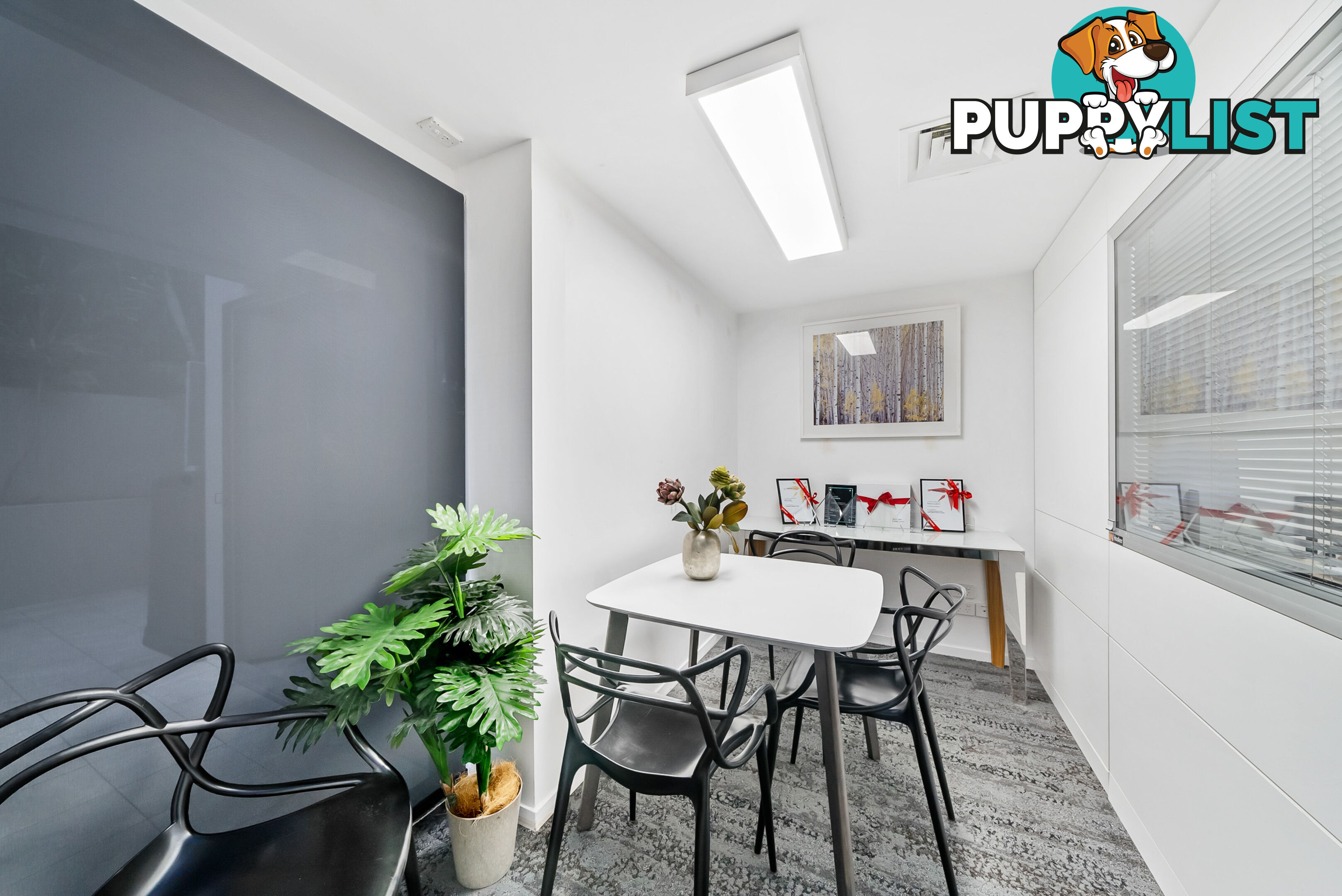 14 10 Albert Avenue Broadbeach QLD 4218