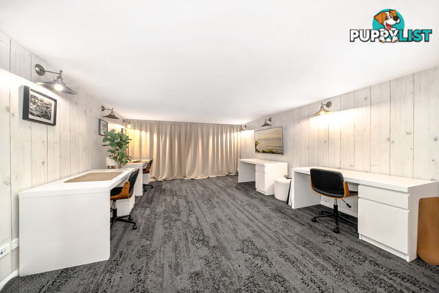 14 10 Albert Avenue Broadbeach QLD 4218