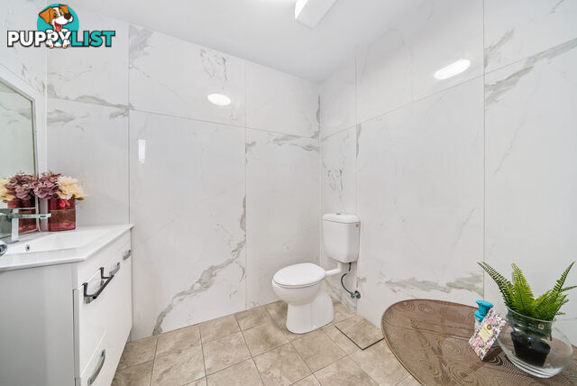 14 10 Albert Avenue Broadbeach QLD 4218