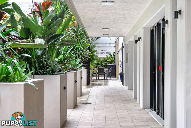 14 10 Albert Avenue Broadbeach QLD 4218