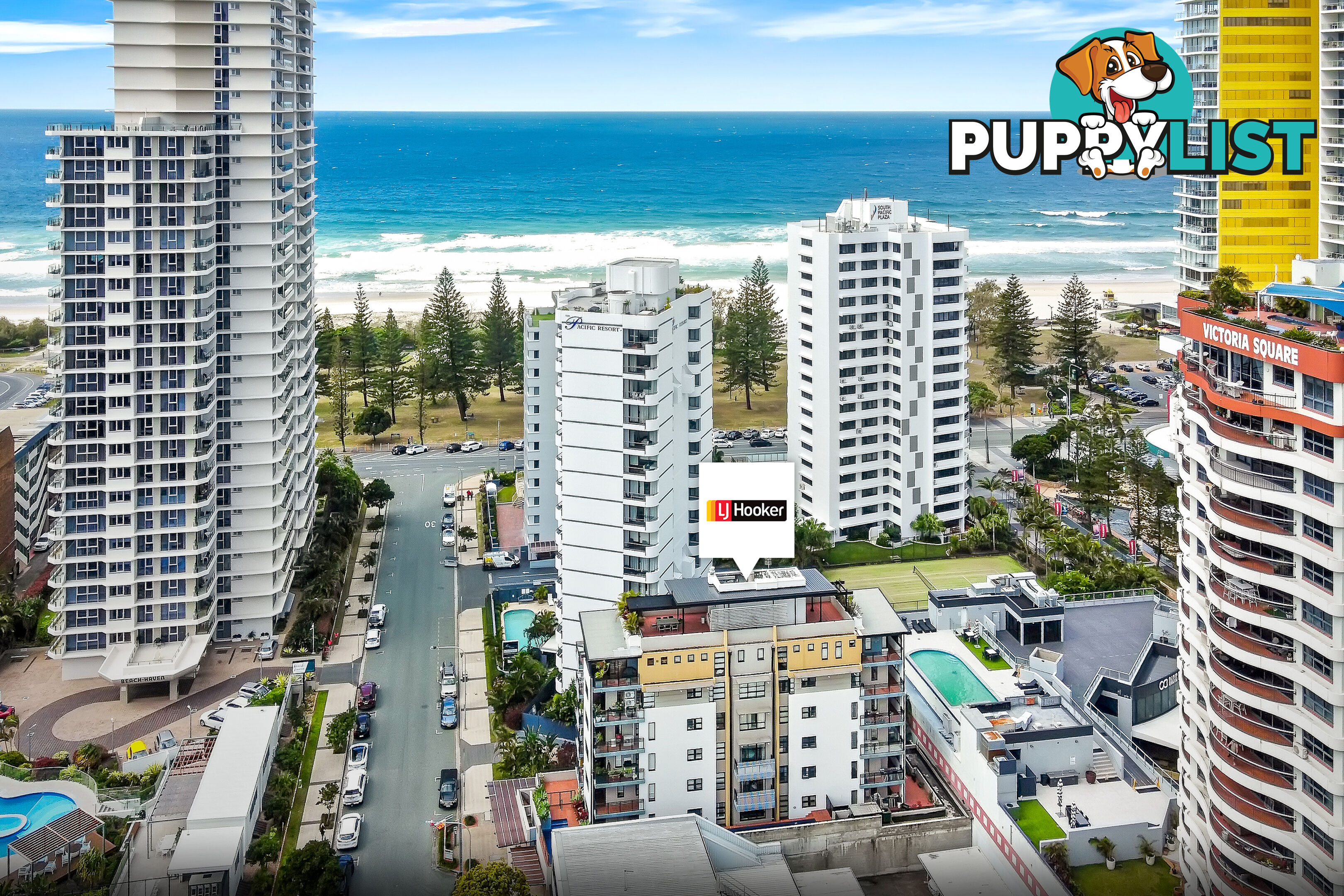 14 10 Albert Avenue Broadbeach QLD 4218