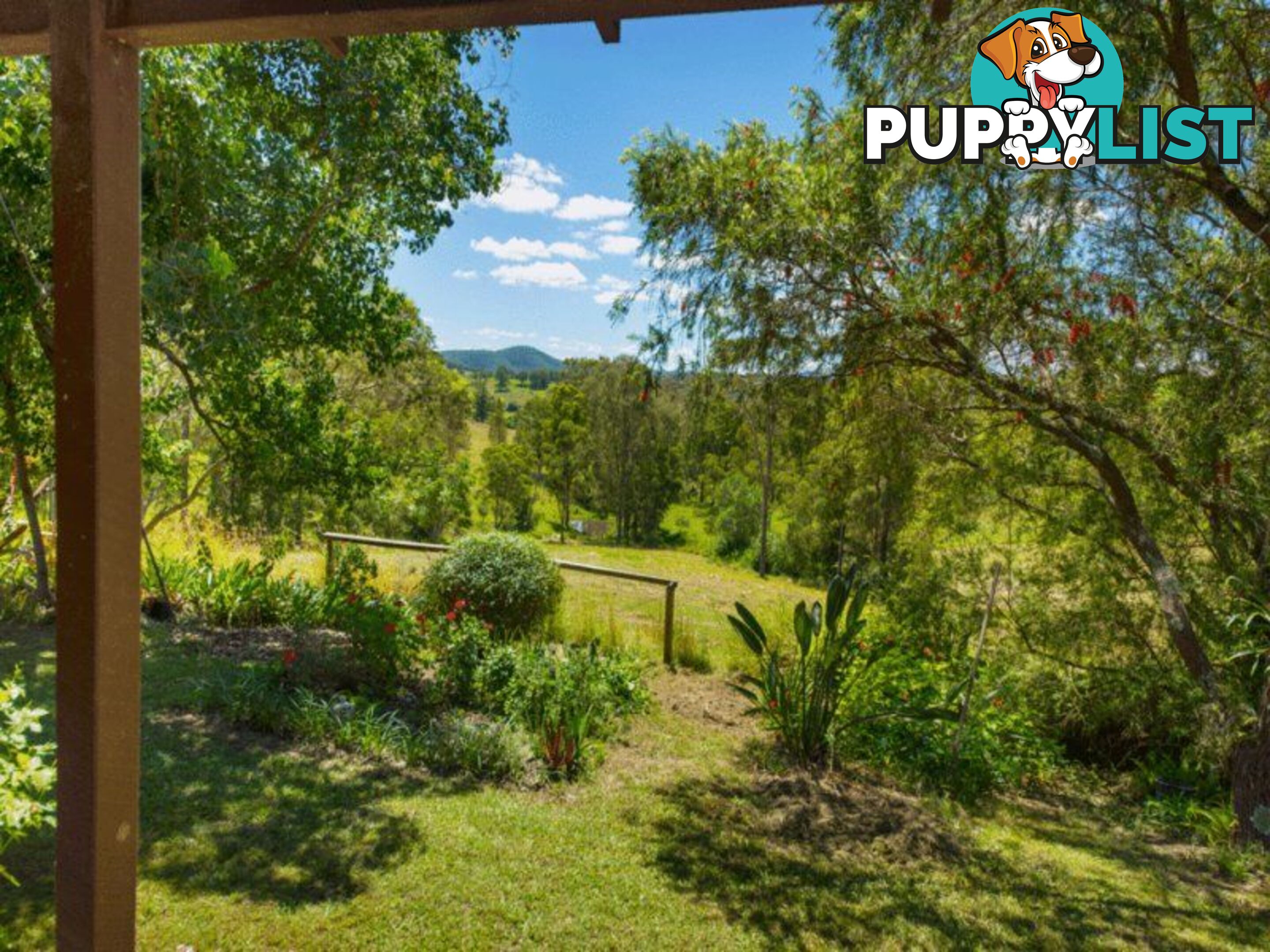 79 Glenyarra Road WINGHAM NSW 2429