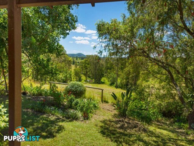 79 Glenyarra Road WINGHAM NSW 2429