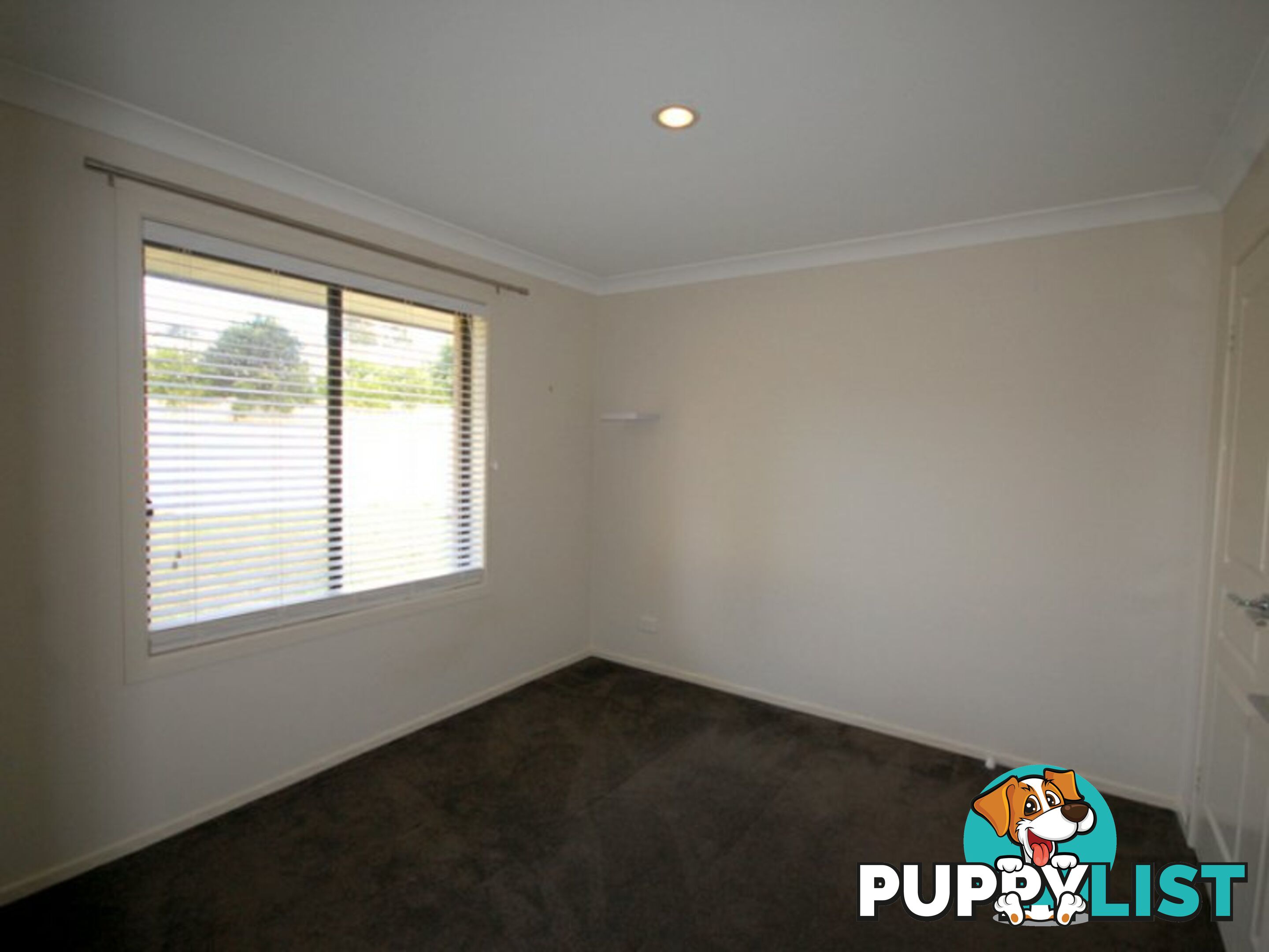 25 Abbott Street WINGHAM NSW 2429