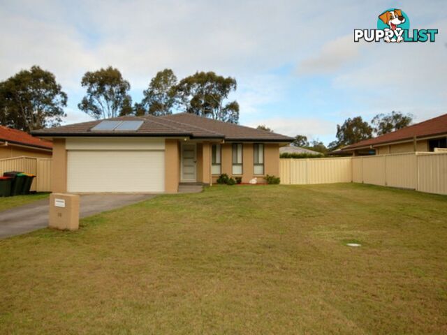 25 Abbott Street WINGHAM NSW 2429