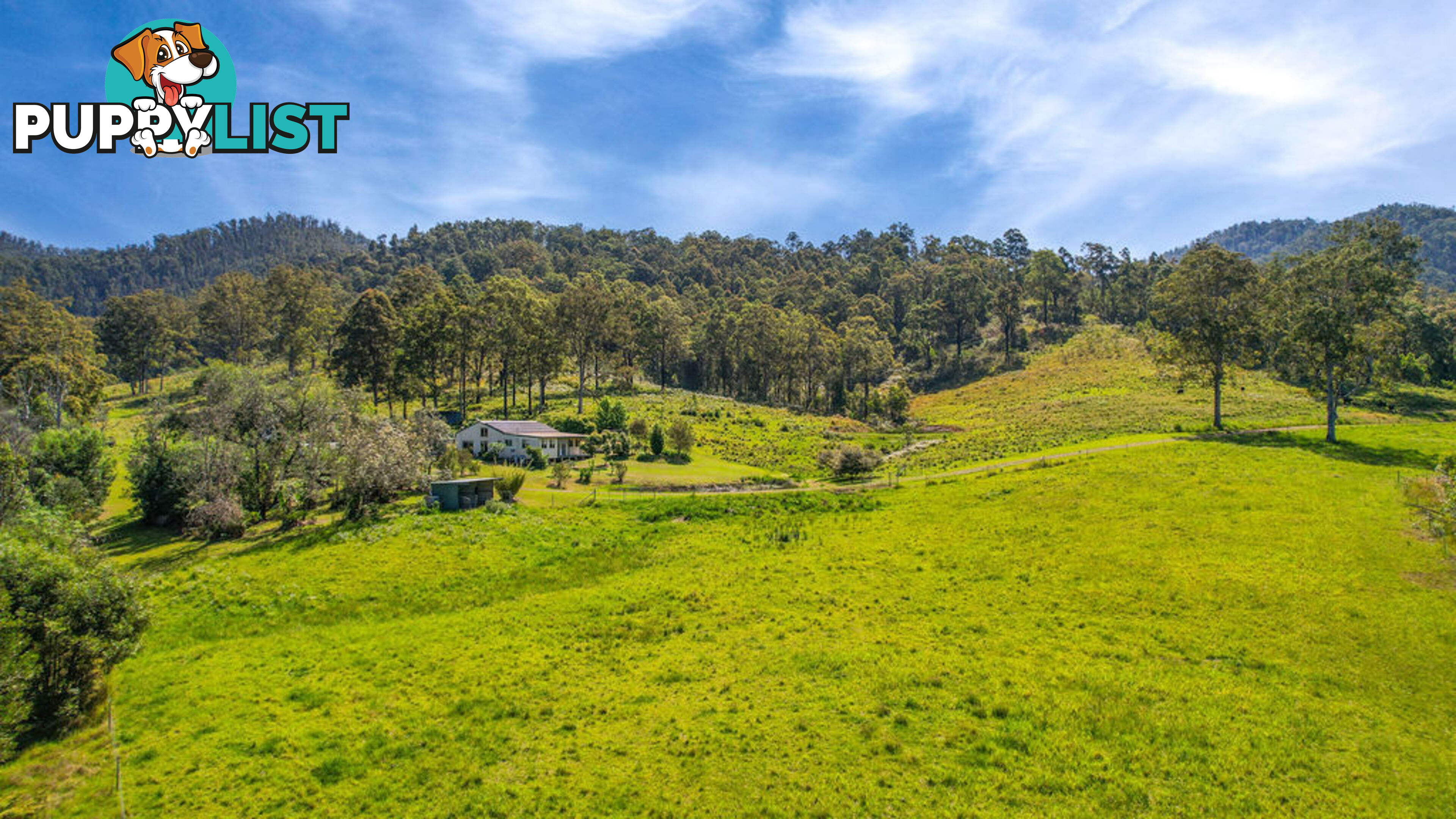 183 Bobin Creek Road BOBIN NSW 2429