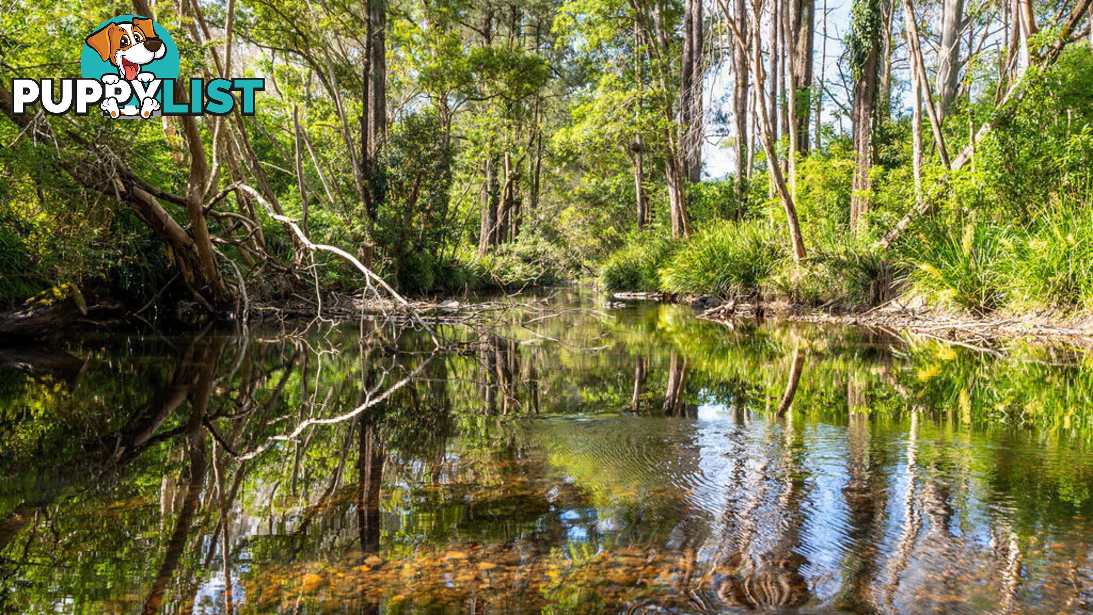 183 Bobin Creek Road BOBIN NSW 2429