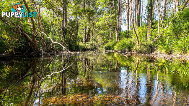 183 Bobin Creek Road BOBIN NSW 2429