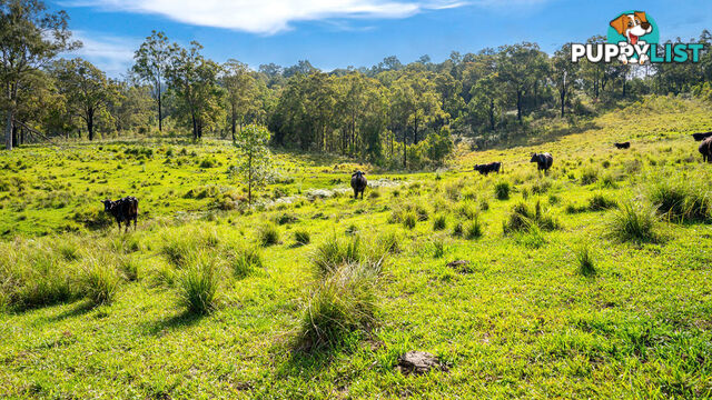 183 Bobin Creek Road BOBIN NSW 2429