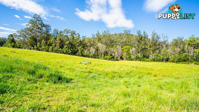 183 Bobin Creek Road BOBIN NSW 2429