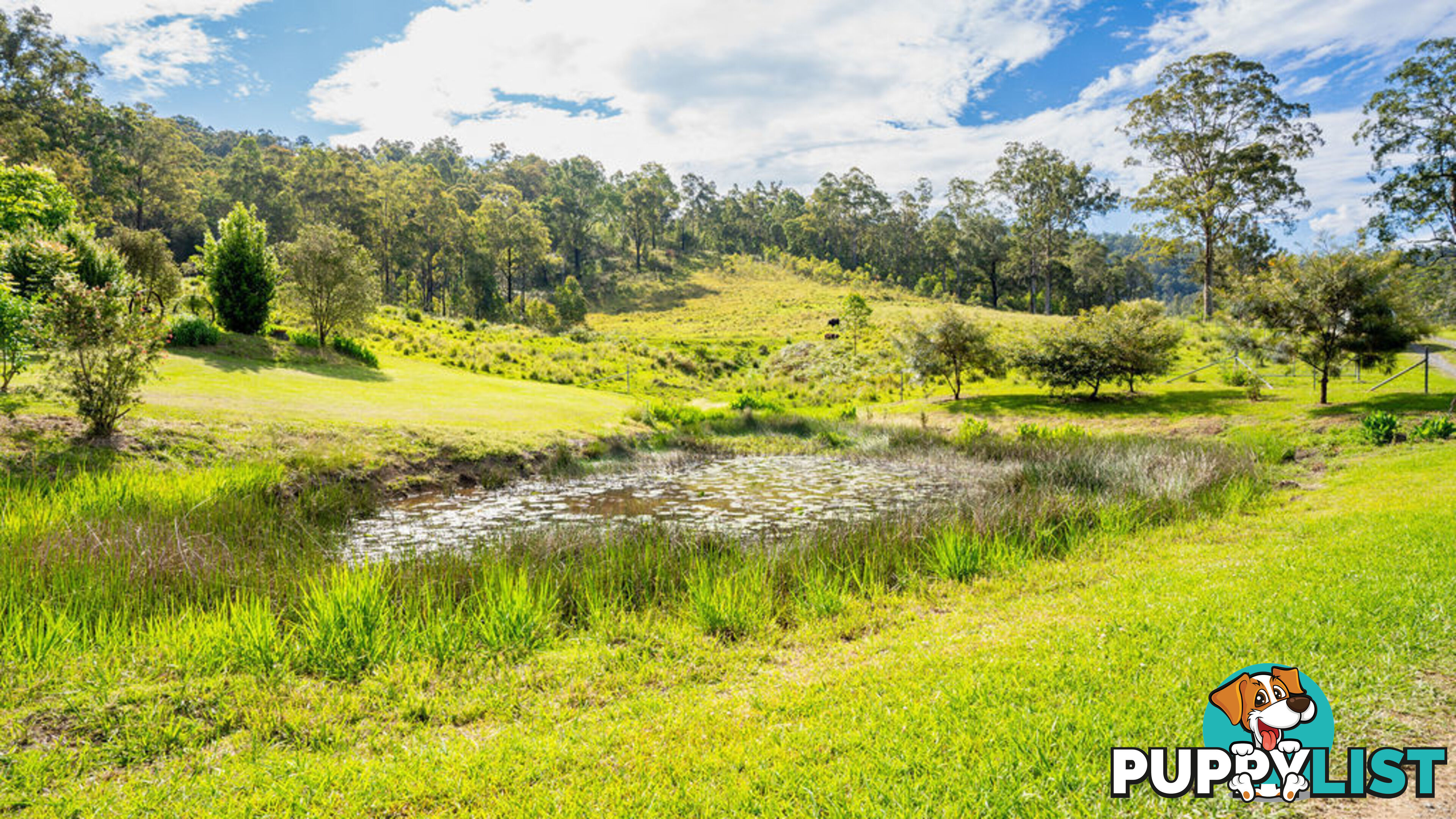 183 Bobin Creek Road BOBIN NSW 2429