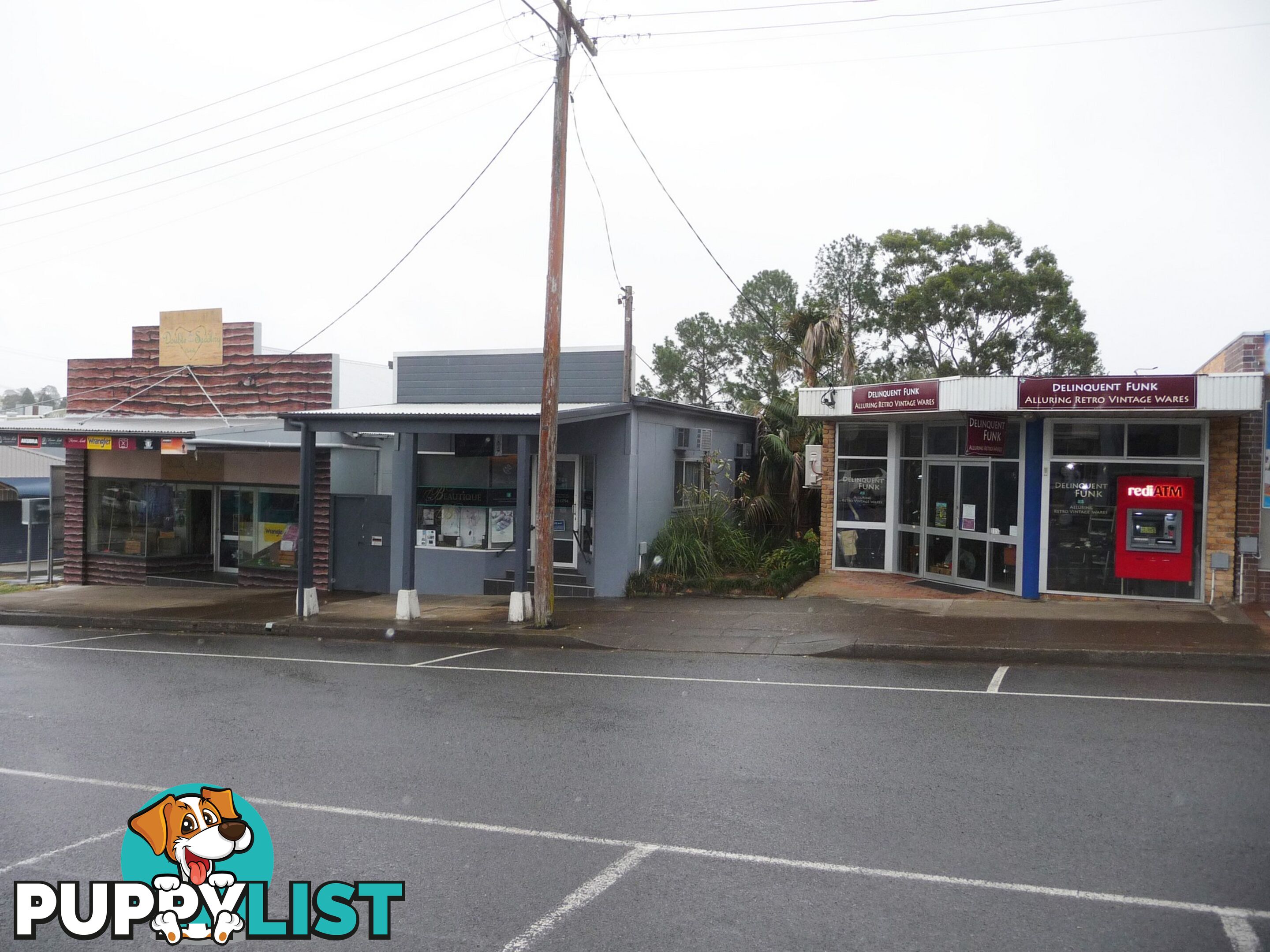 107 Isabella Street WINGHAM NSW 2429