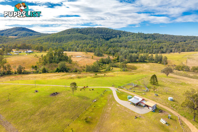 292 Beitibombi Creek Road WHERROL FLAT NSW 2429