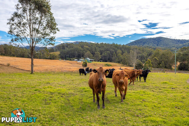 292 Beitibombi Creek Road WHERROL FLAT NSW 2429