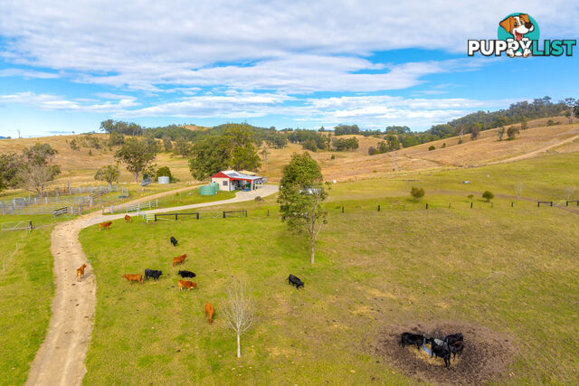 292 Beitibombi Creek Road WHERROL FLAT NSW 2429