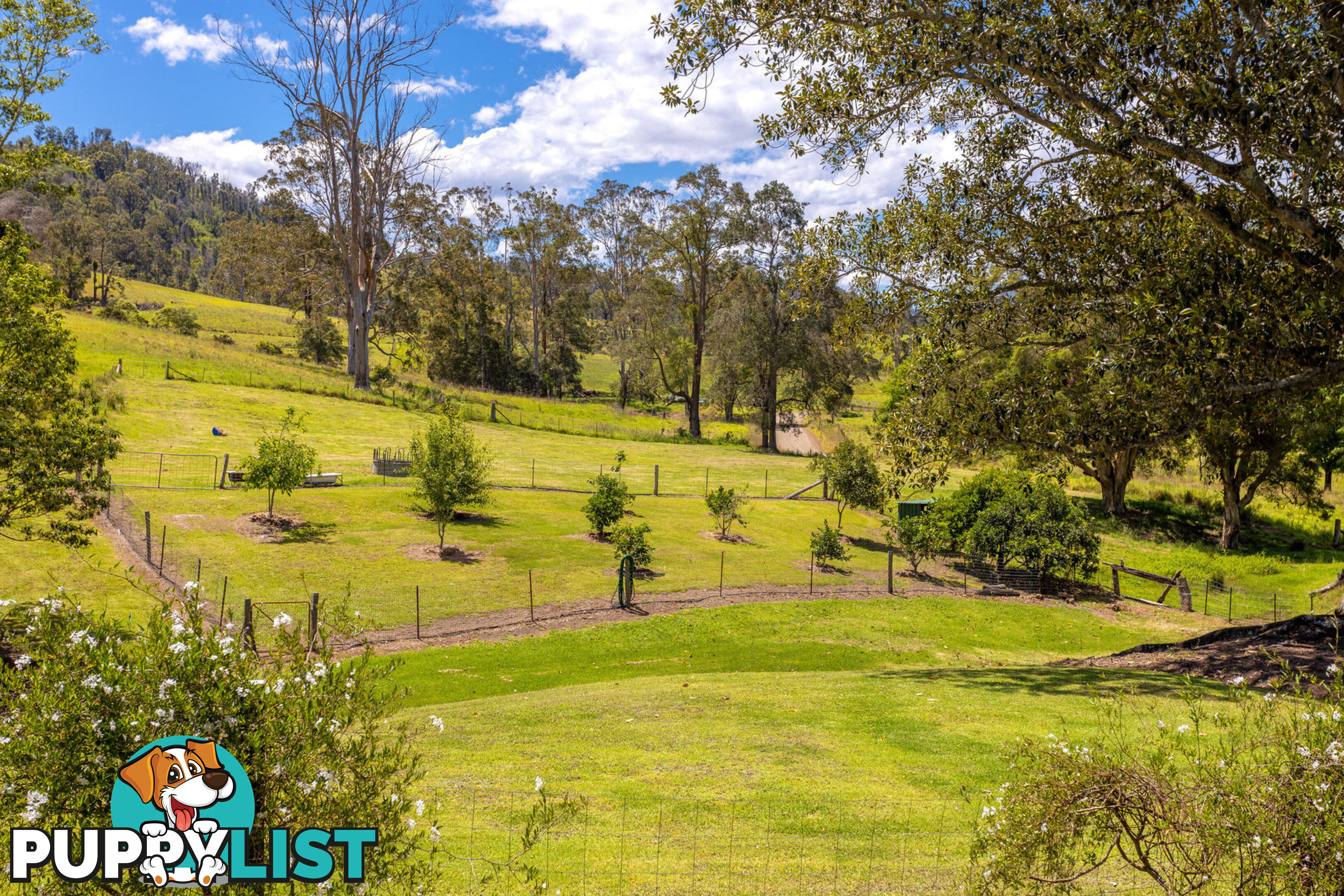 792 Mooral Creek Road STRATHCEDAR NSW 2429