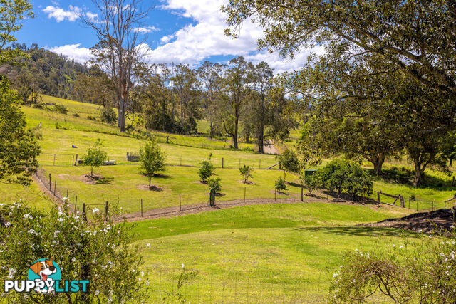 792 Mooral Creek Road STRATHCEDAR NSW 2429