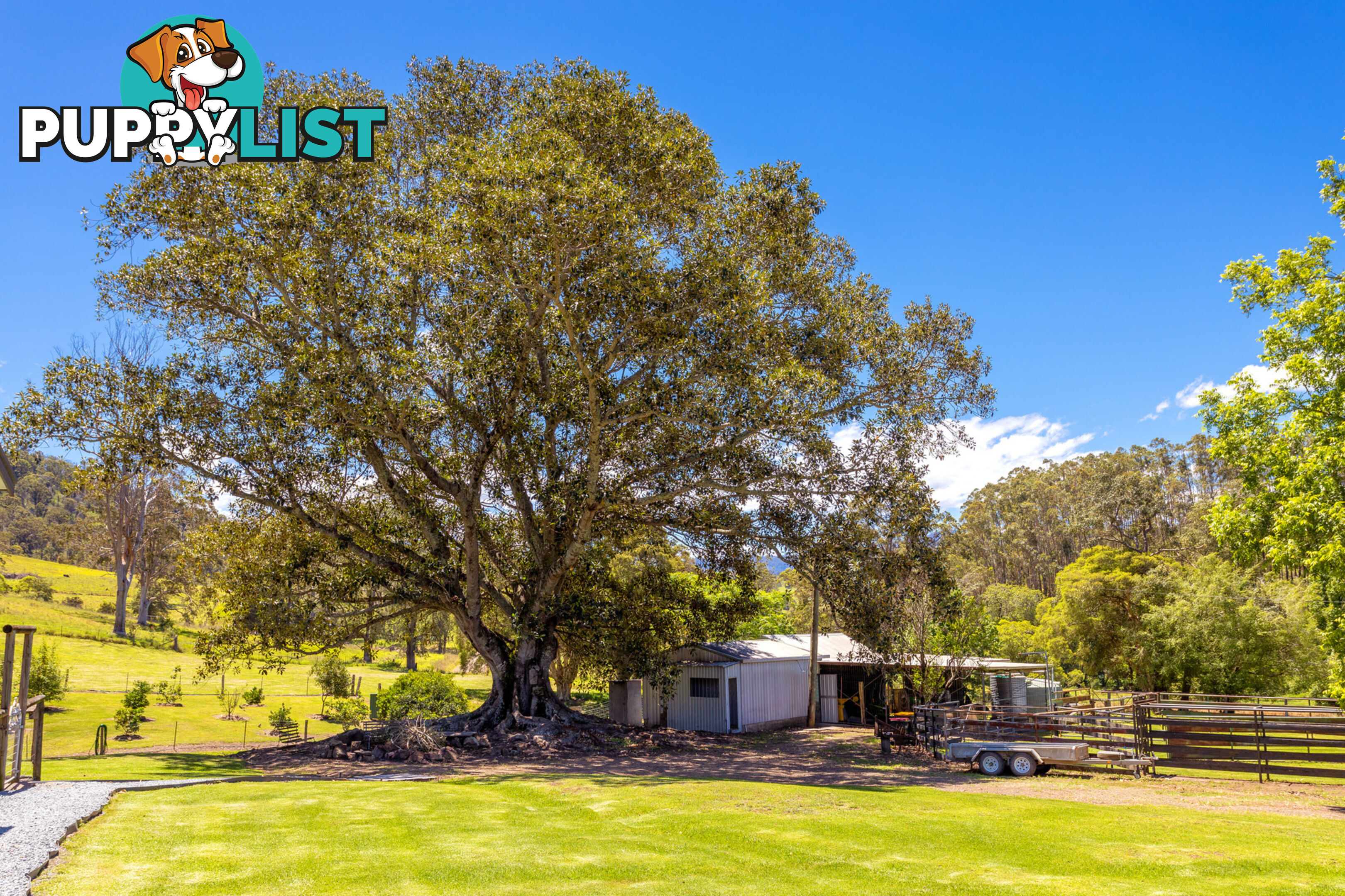 792 Mooral Creek Road STRATHCEDAR NSW 2429