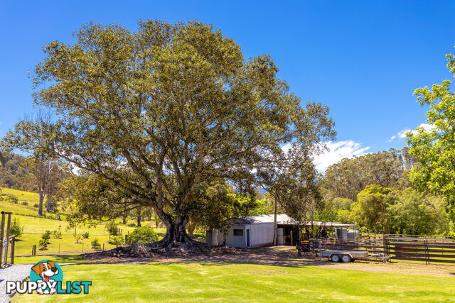 792 Mooral Creek Road STRATHCEDAR NSW 2429