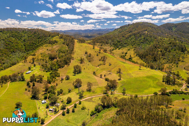 792 Mooral Creek Road STRATHCEDAR NSW 2429