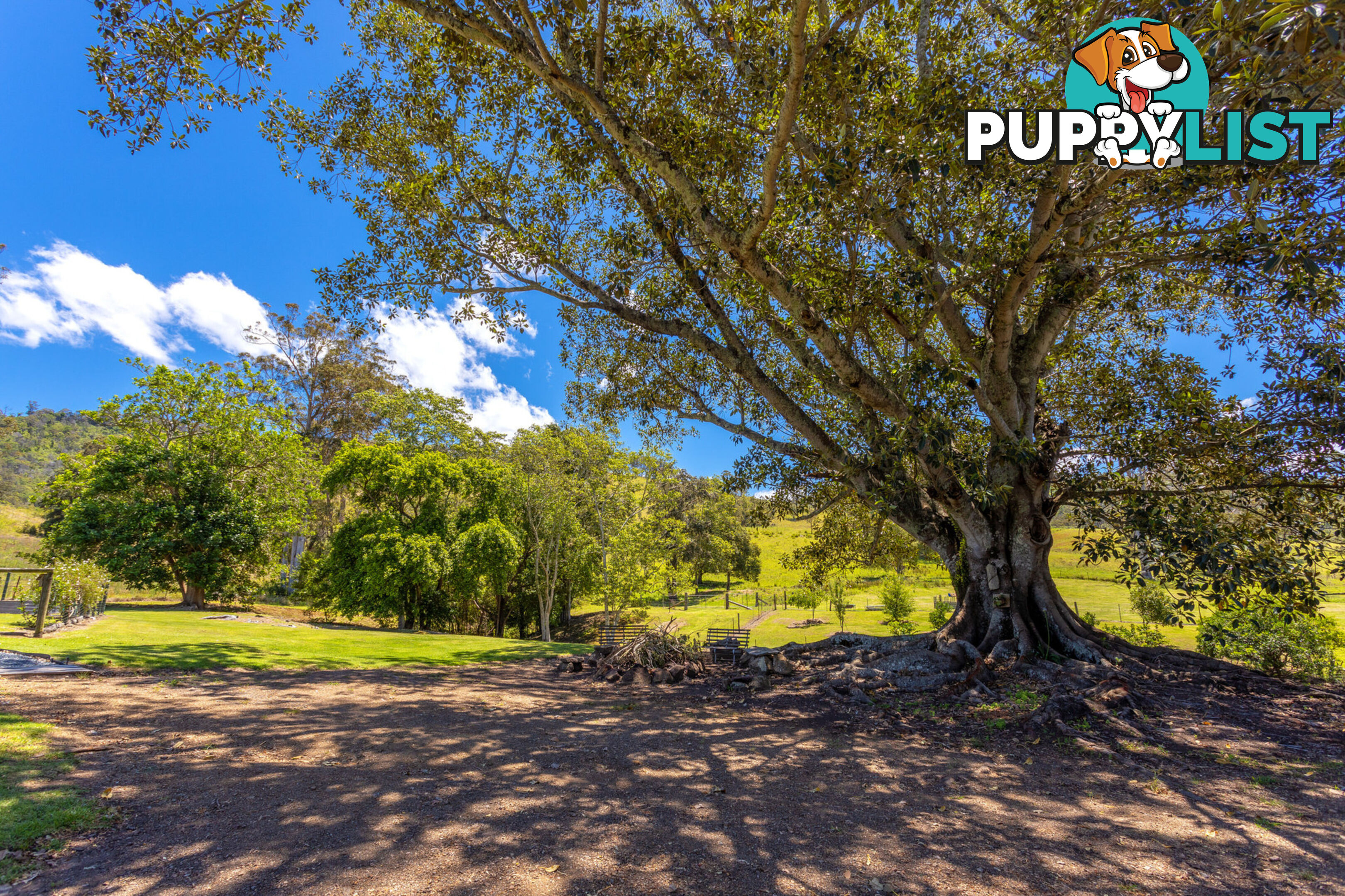 792 Mooral Creek Road STRATHCEDAR NSW 2429