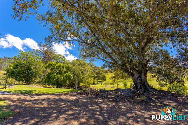 792 Mooral Creek Road STRATHCEDAR NSW 2429