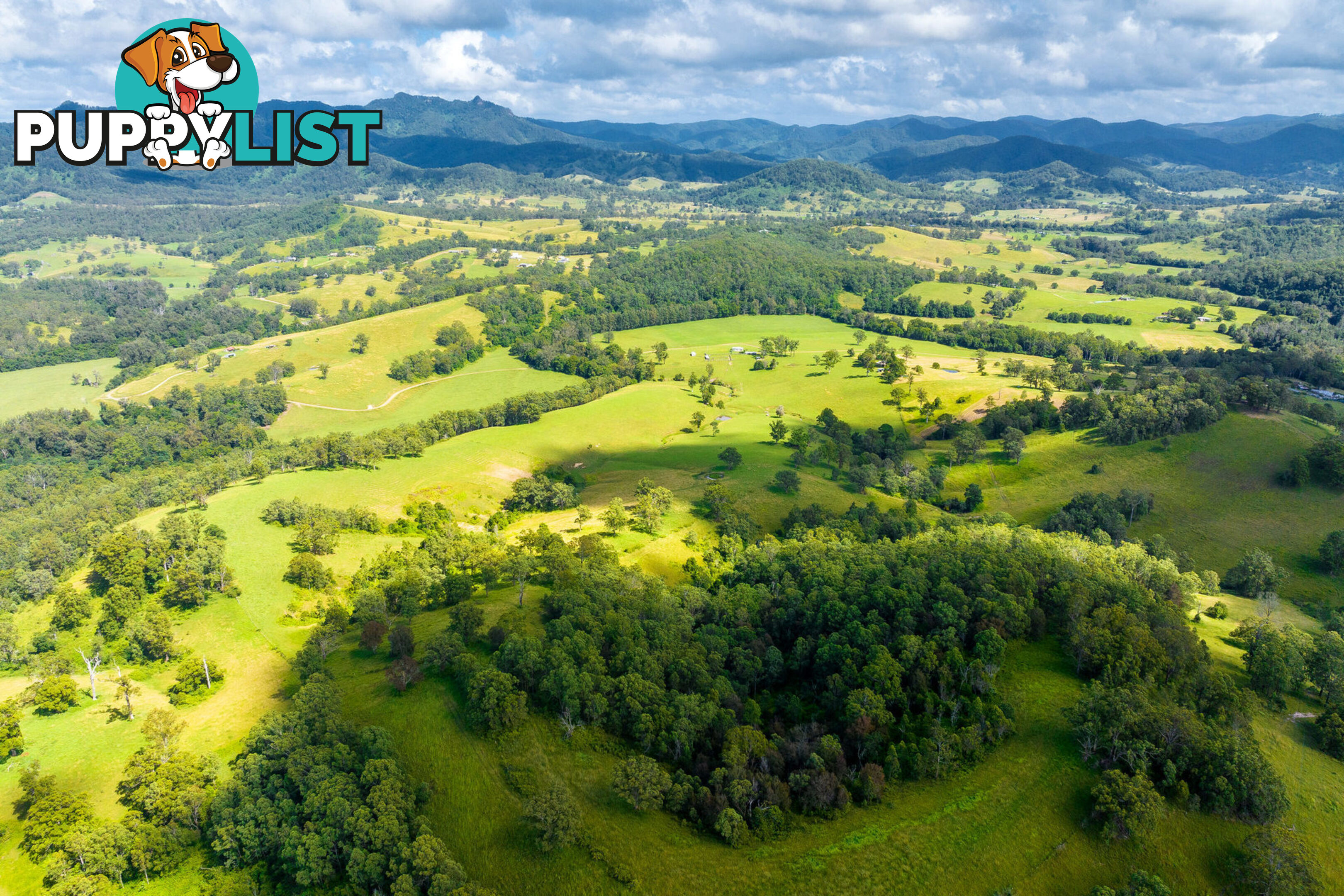 Lot 101 Beitibombi Creek Road WHERROL FLAT NSW 2429