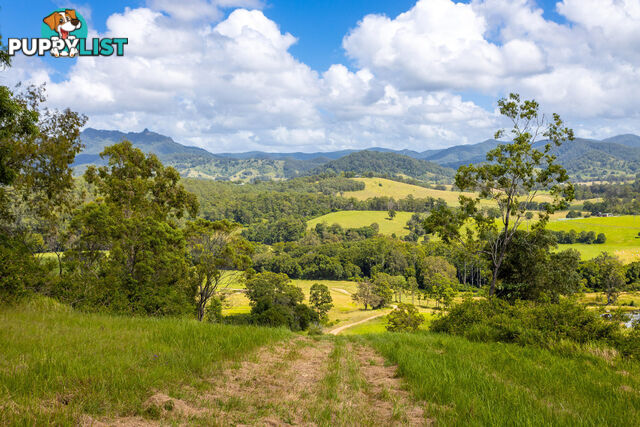 Lot 101 Beitibombi Creek Road WHERROL FLAT NSW 2429