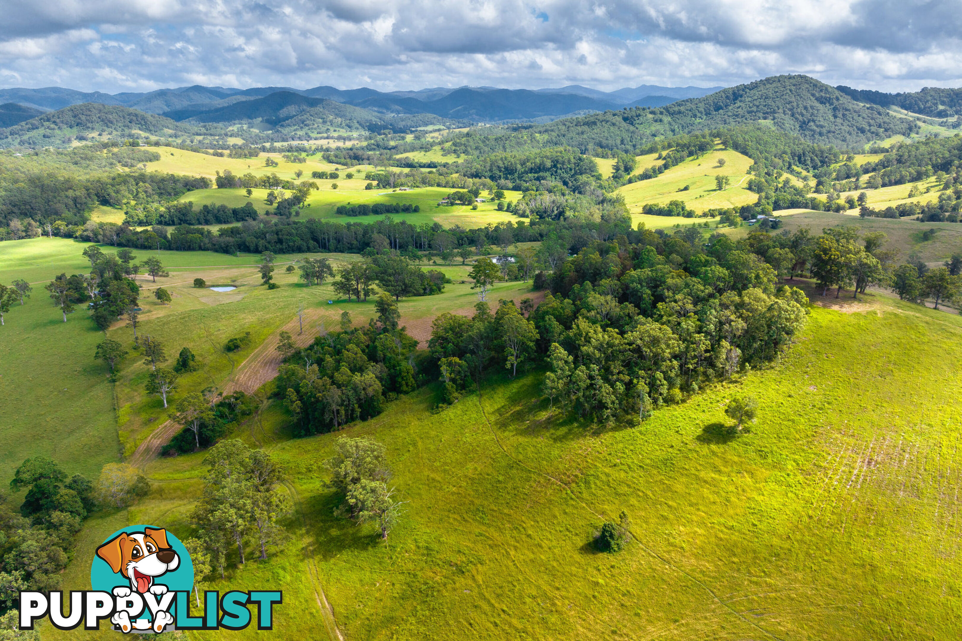 Lot 101 Beitibombi Creek Road WHERROL FLAT NSW 2429