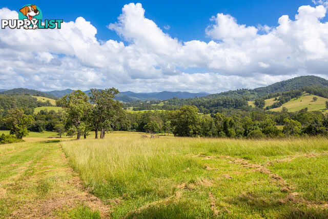 Lot 101 Beitibombi Creek Road WHERROL FLAT NSW 2429