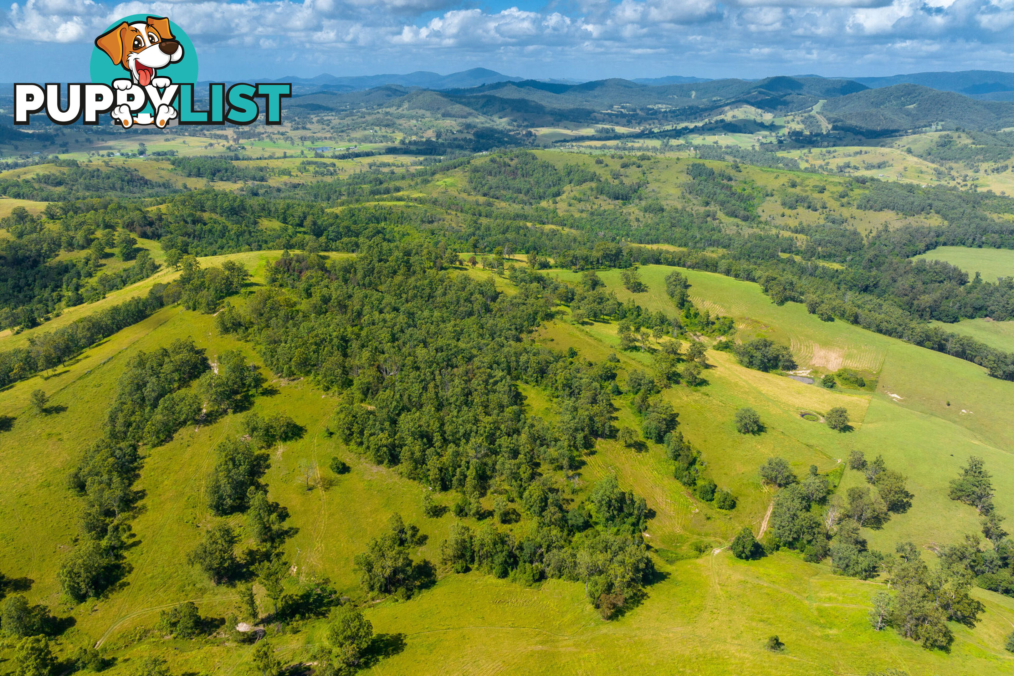 Lot 101 Beitibombi Creek Road WHERROL FLAT NSW 2429