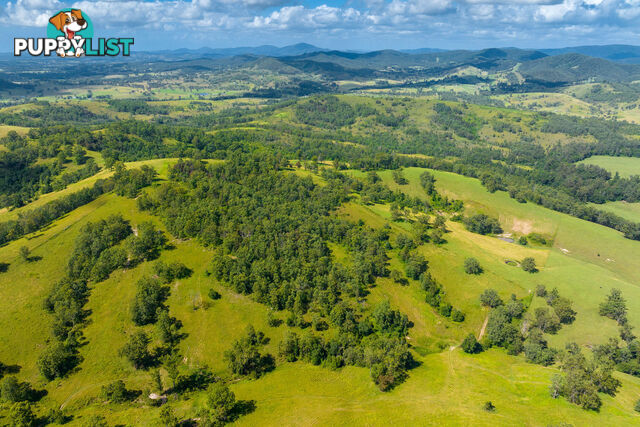 Lot 101 Beitibombi Creek Road WHERROL FLAT NSW 2429