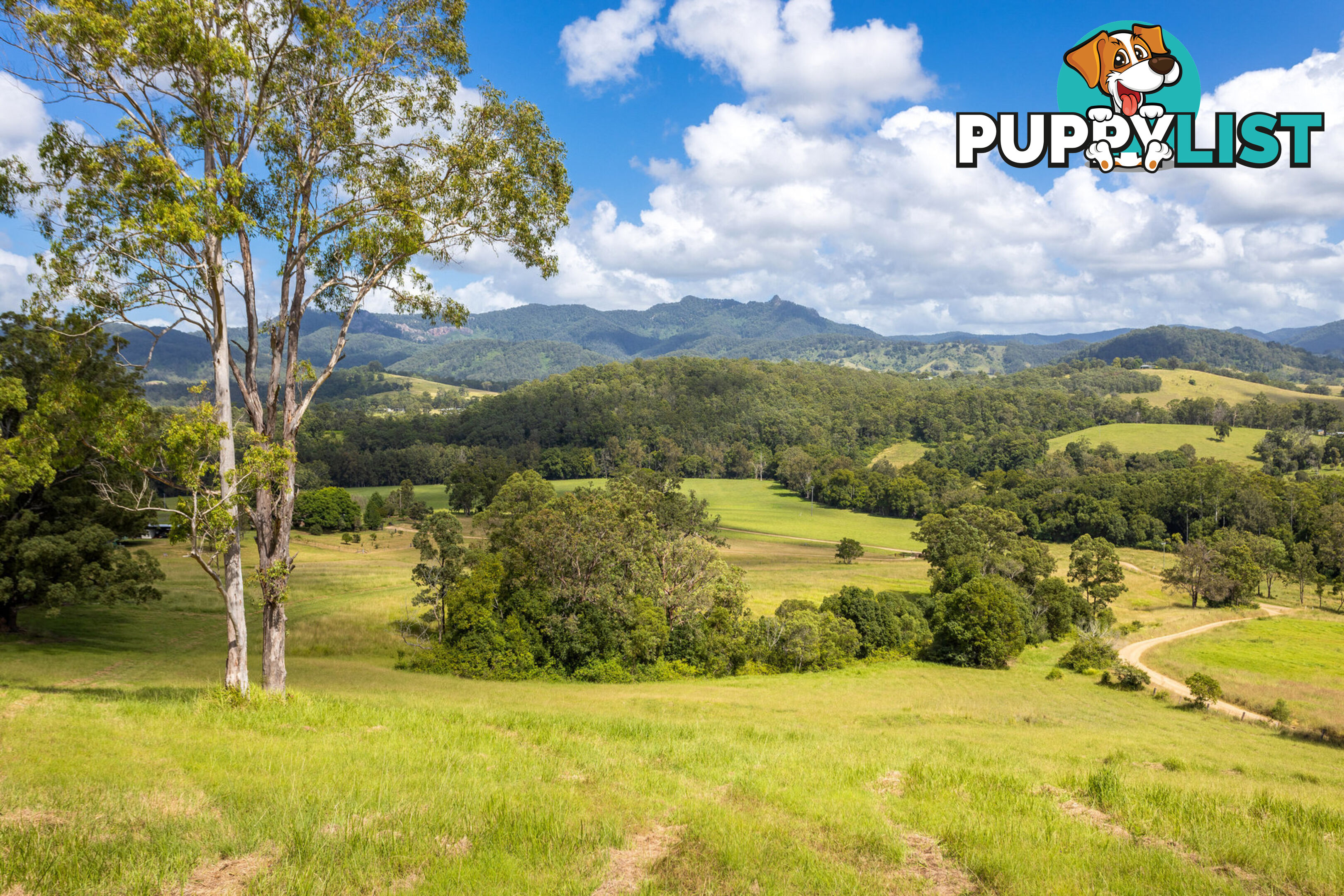 Lot 101 Beitibombi Creek Road WHERROL FLAT NSW 2429