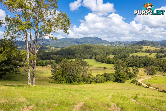 Lot 101 Beitibombi Creek Road WHERROL FLAT NSW 2429