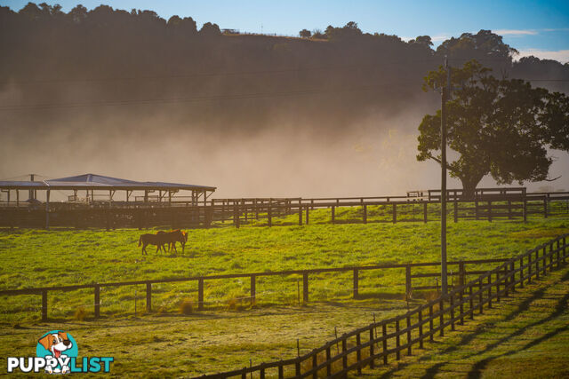 Abbotts Falls Road WINGHAM NSW 2429