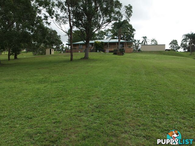 11 Kingfisher Drive WINGHAM NSW 2429